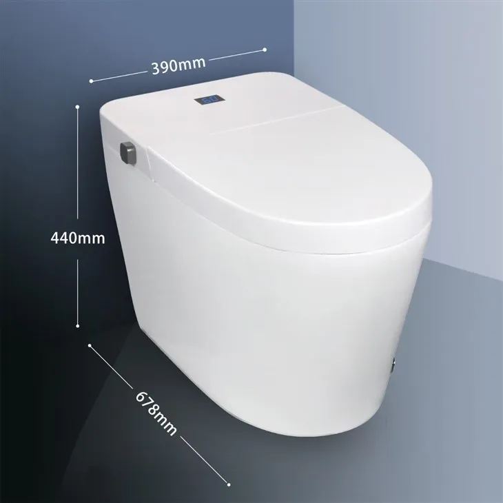 Commercial toilet size
