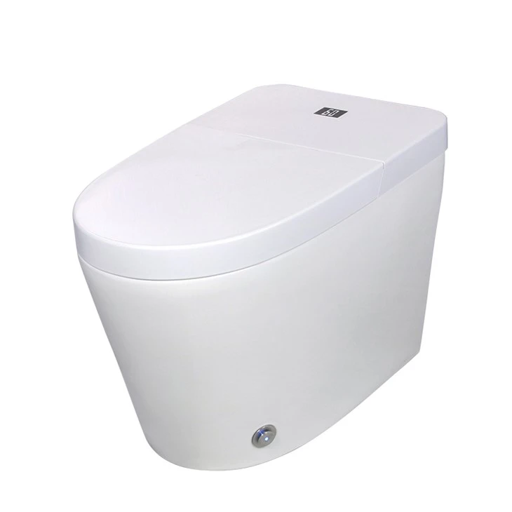 Commercial Intelligent Toilet